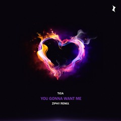 Tiga - You Gonna Want Me (Ziphy Remix)