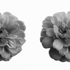 voicememo2:12:23.m4a