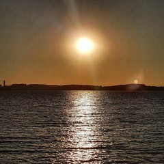 Sunny