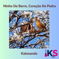 Ninho de Barro, Coração de Pedra