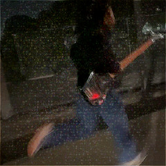 4  displacement, distribution, behavior       05052025 midday