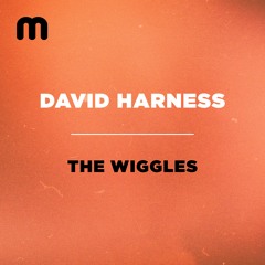 David Harness -  The Wiggles (Jackin' Mix)