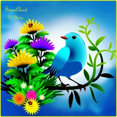 Dj Gladys Graffik19 Bird)