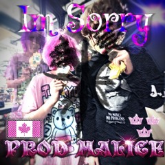 SOWN x NARS - IM SORRY (prod. malice)