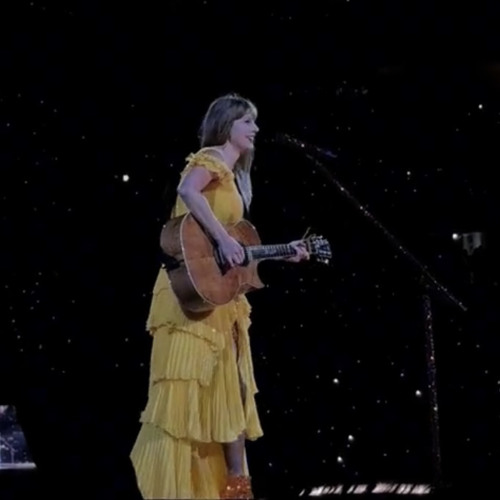 Mr. Perfectly Fine Live at The Eras Tour