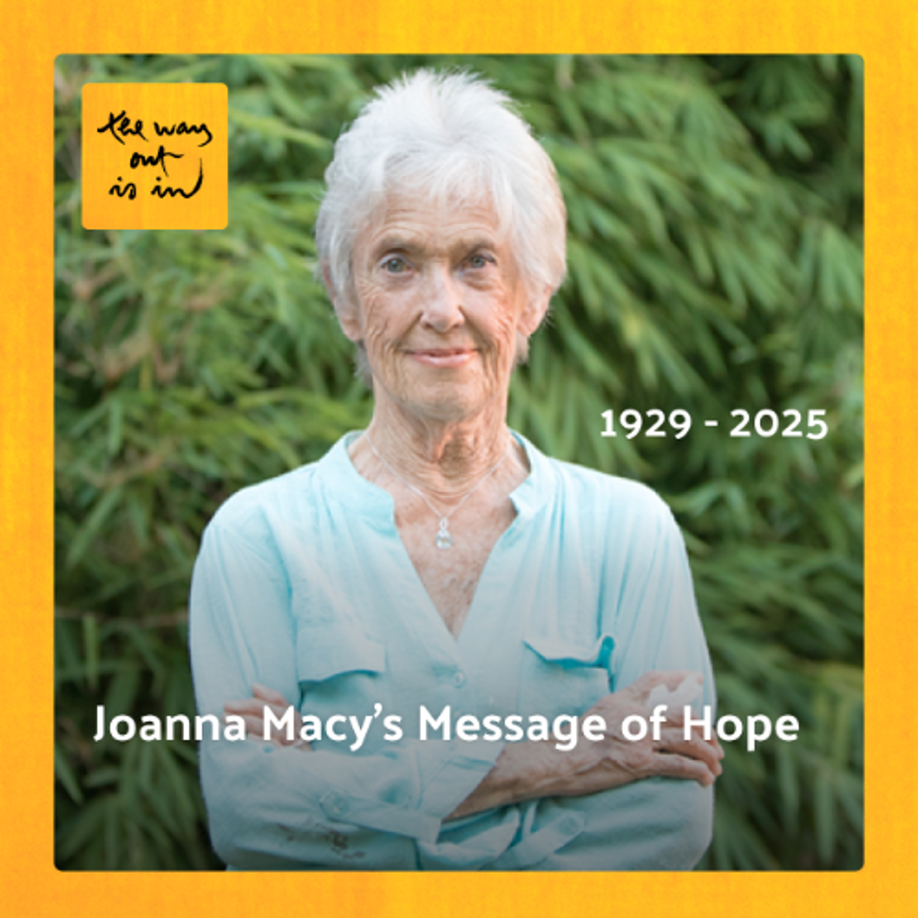 Special Edition: Joanna Macy's Message of Hope | TWOII podcast episode artwork