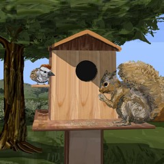 Pilotredsky - Rule of Xem