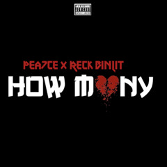 Pea7ce x Reck BinLit - How Many