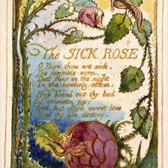 The Sick Rose