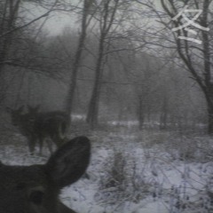 winter's only pretty when you're warm