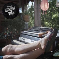 The Breed - Sunday Vibe (Tangerine Bandit Bootleg)