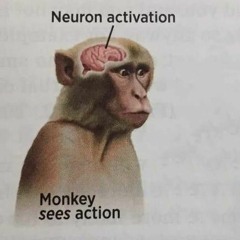 REAL NIGGAS TALKIN
