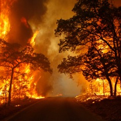 The Ground Up (unfinished)