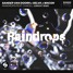 Sander Van Doorn X Selva X Macon - Raindrops (JORRIGHT Remix)