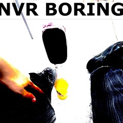 nvr boring