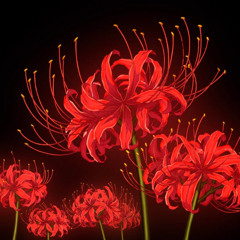 ErrorBloom