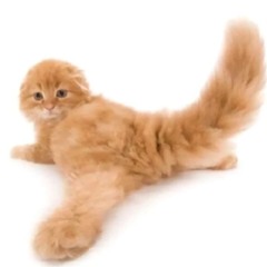 TIEFBASSKOMMANDO - bass boosted