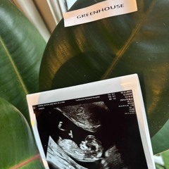 Mitch’s Greenhouse 4/12