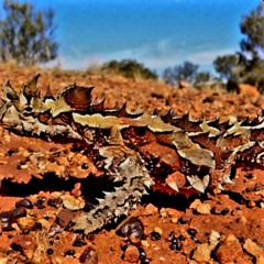 Thomas Feijk Meets Toby Hedges Mix