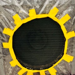 Chasing Down The Sun