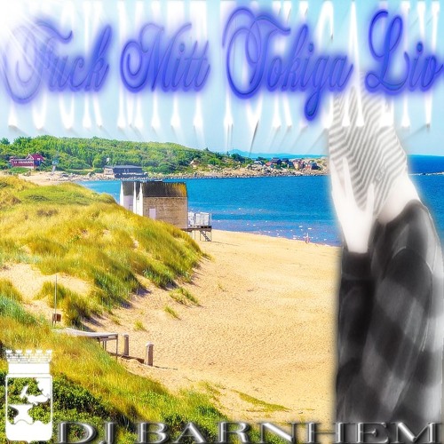 FUCK MITT TOKIGA LIV (╥_╥) (SOMMARMIXXXTAPE2024)