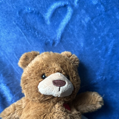 tEddY