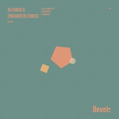 Alfonso G - Enchanted Forest (Monostone Remix) [Bevel]