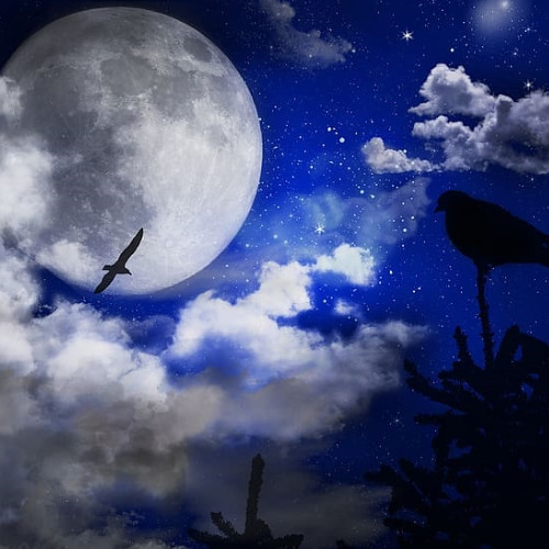 Waters of life and death