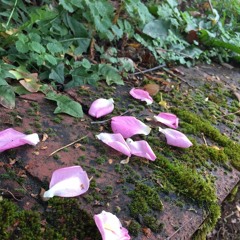 Cant Escape You (Prod. boycrywolf)