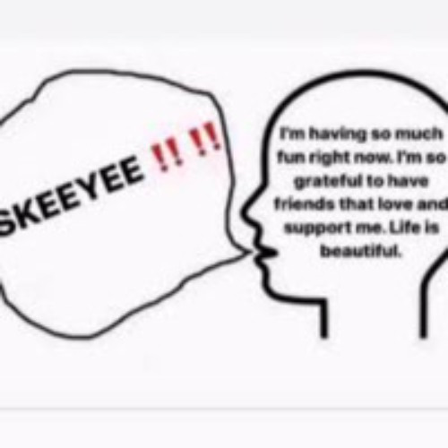 skeeyee rock (pitched) FREE DL