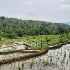 Tracking Melodi Tabir Kepalsuan.mp3