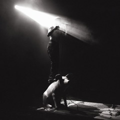 Eloise (Live from New York)