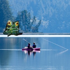 kayaking american lake for the first time