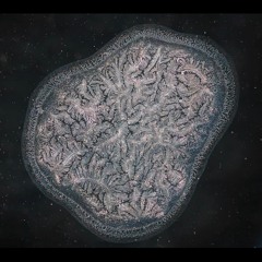 A Teardrop in the War Room