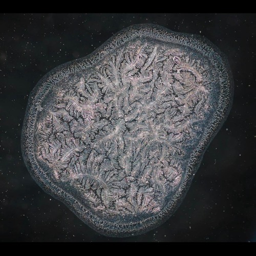 A Teardrop in the War Room