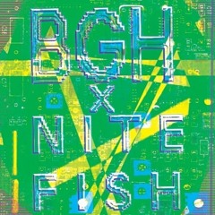 BGH X N I T E F I S H - MONEYFUCK REMIX