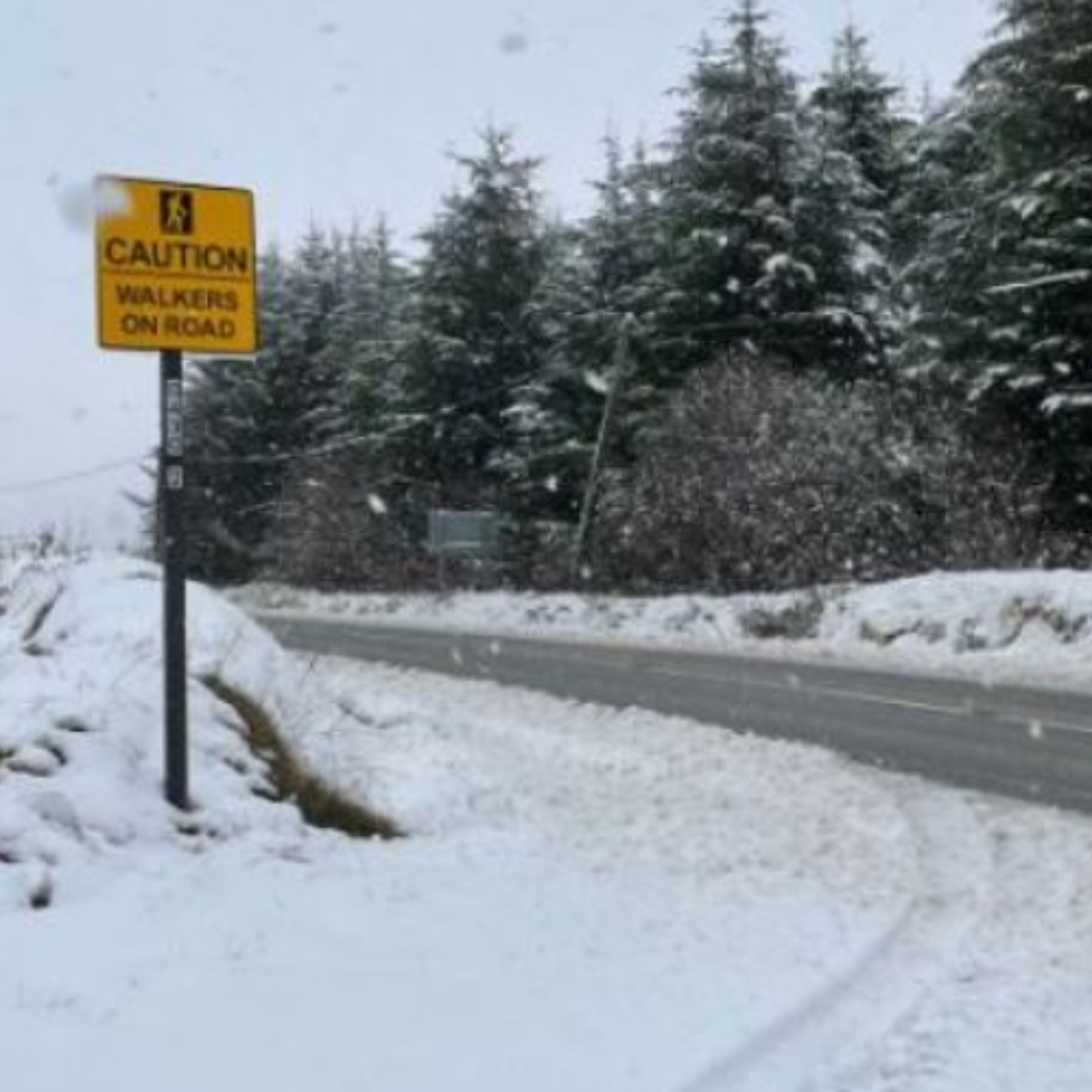 Clare Christmas Weather Check Clare Christmas Weather Check