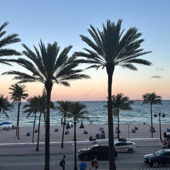 Endorphins - The Main Squeeze (Live From The Mojave Desert) - Solo cover