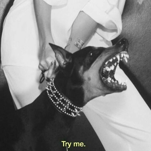 𝙎𝙝𝙞𝙩 𝙄 𝘿𝙤𝙣𝙩 𝙇𝙞𝙠𝙚