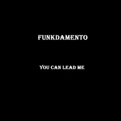 Funkdamento - You Can Lead Me