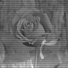 HiT - STILL LOVING U (#SLU) ft. 1DEE & DRASTA (Audio Official)