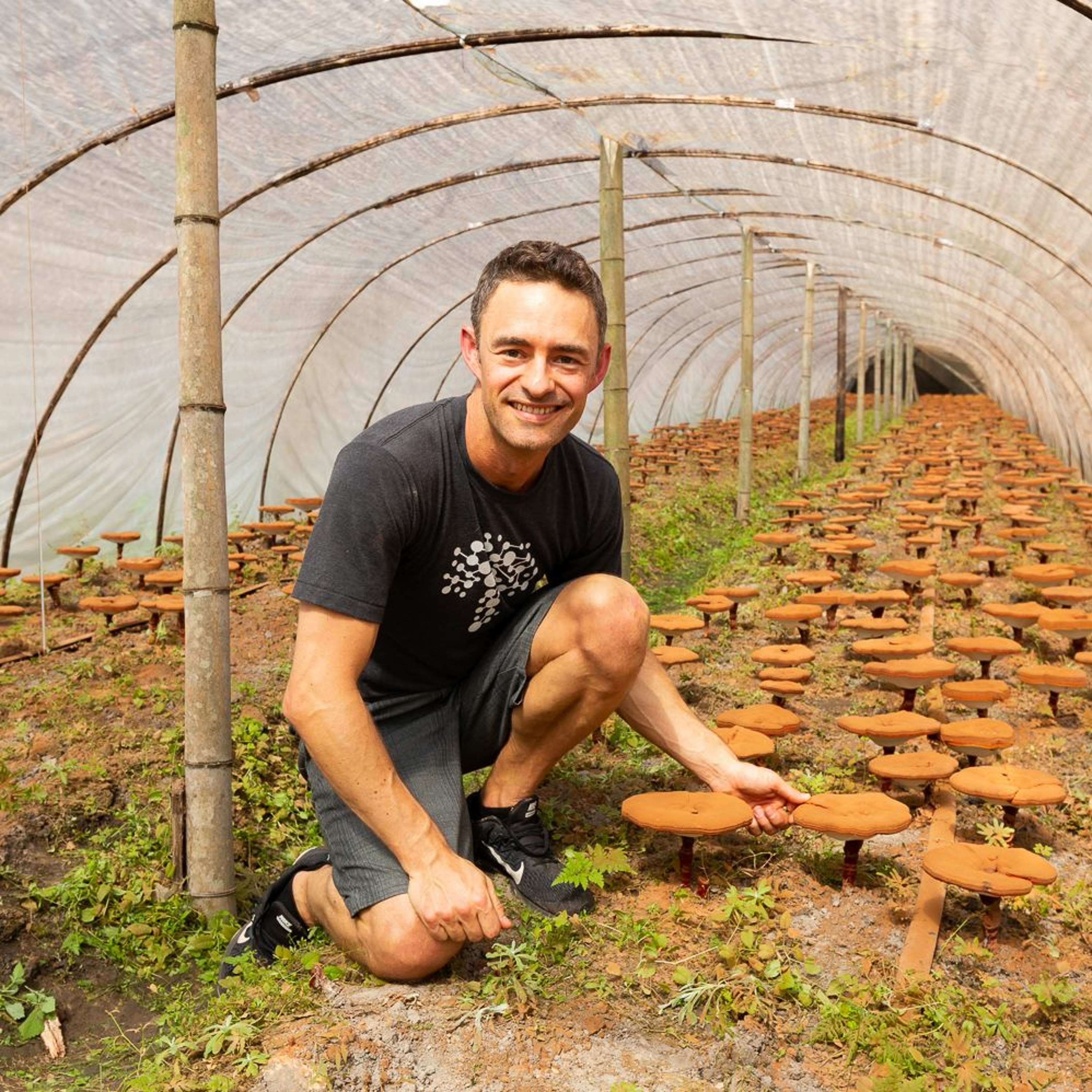 The Magic Of Mushrooms With Skye Chilton