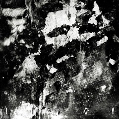 Copy of LIARY - TikTok Version