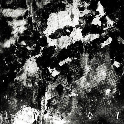 LIARY - TikTok Version