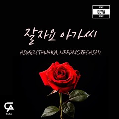 잘자요 아가씨 - ASMRZ(TANAKA, NEEDMORECASH - SEYA Remix)