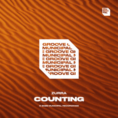 Counting (Extended)