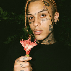 Lil Skies - Money Trees (Official audio)