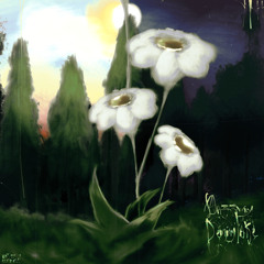 Dazzwry, Demmylake - Same