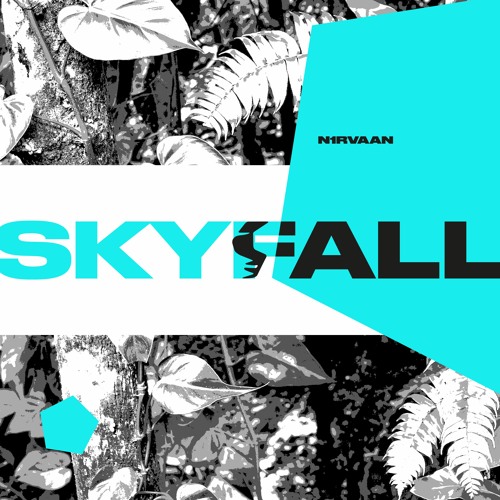 N1RVAAN - Skyfall (Extended Mix)