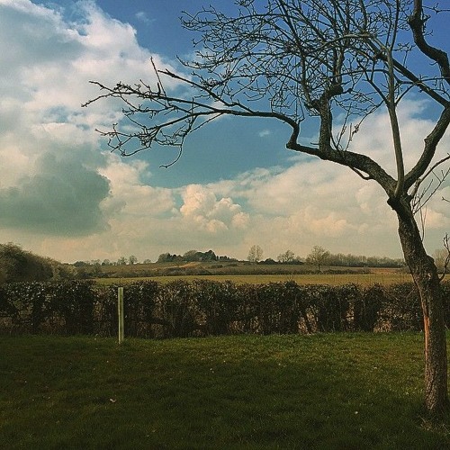 Something New (Demo)